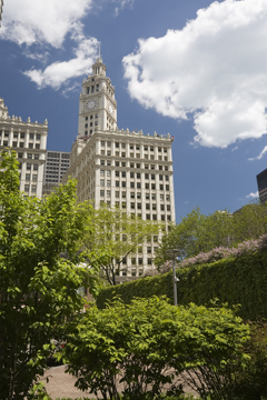 Wrigley Building